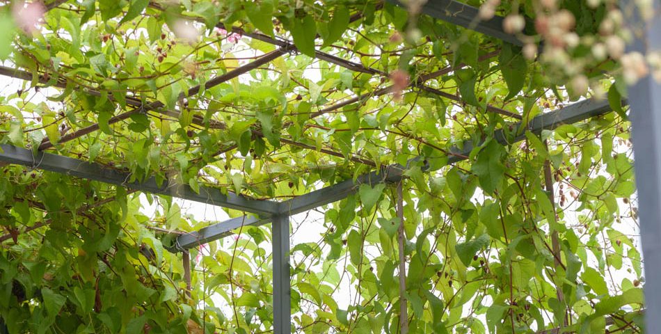 Pergola z metalu