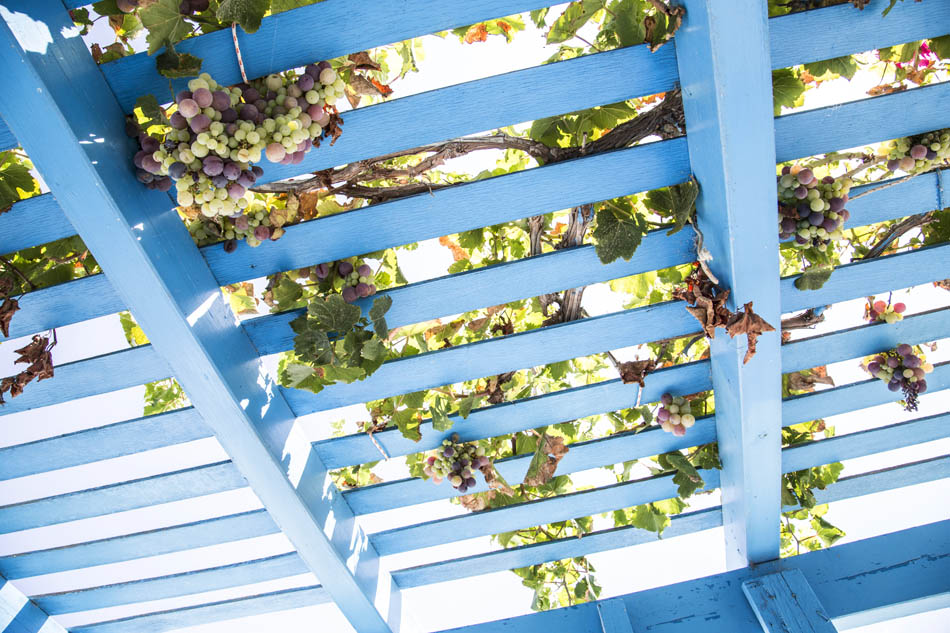 Niebieska pergola